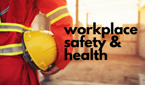 A Comprehensive Introduction to Workplace Safety and Health